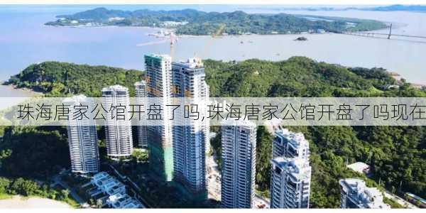 珠海唐家公馆开盘了吗,珠海唐家公馆开盘了吗现在