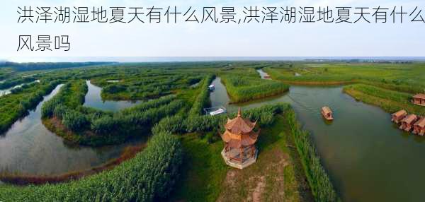 洪泽湖湿地夏天有什么风景,洪泽湖湿地夏天有什么风景吗