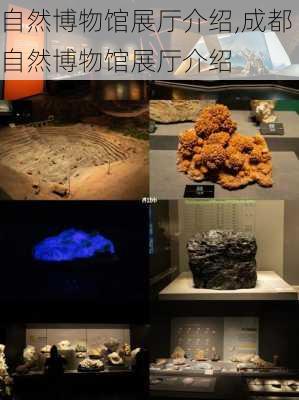 自然博物馆展厅介绍,成都自然博物馆展厅介绍