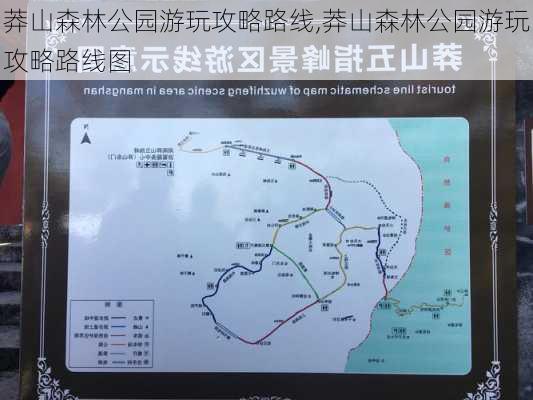 莽山森林公园游玩攻略路线,莽山森林公园游玩攻略路线图