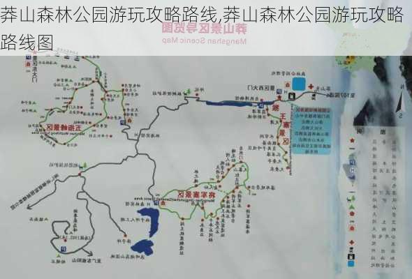 莽山森林公园游玩攻略路线,莽山森林公园游玩攻略路线图