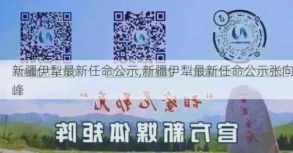 新疆伊犁最新任命公示,新疆伊犁最新任命公示张向峰