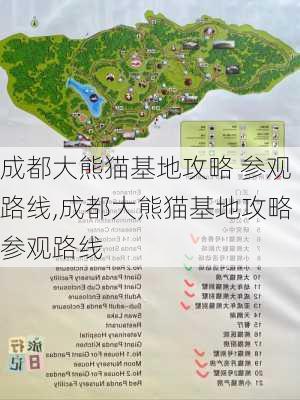 成都大熊猫基地攻略 参观路线,成都大熊猫基地攻略参观路线