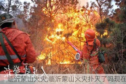 临沂蒙山火灾,临沂蒙山火灾扑灭了吗现在