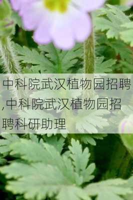 中科院武汉植物园招聘,中科院武汉植物园招聘科研助理