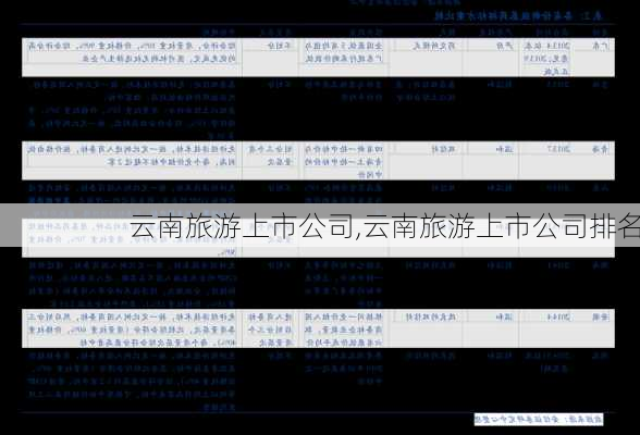 云南旅游上市公司,云南旅游上市公司排名