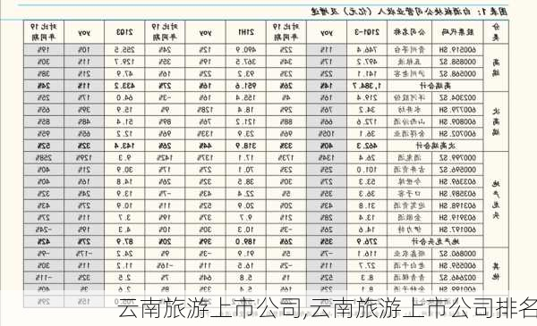 云南旅游上市公司,云南旅游上市公司排名