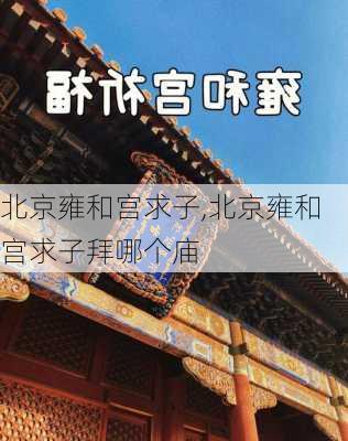 北京雍和宫求子,北京雍和宫求子拜哪个庙