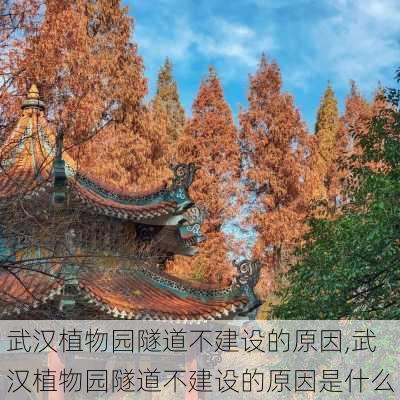 武汉植物园隧道不建设的原因,武汉植物园隧道不建设的原因是什么