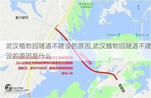 武汉植物园隧道不建设的原因,武汉植物园隧道不建设的原因是什么