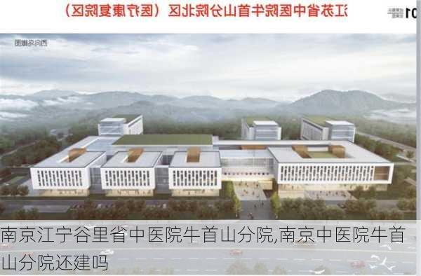 南京江宁谷里省中医院牛首山分院,南京中医院牛首山分院还建吗