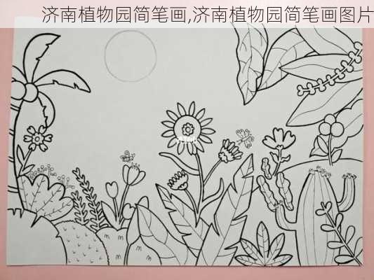 济南植物园简笔画,济南植物园简笔画图片