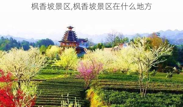 枫香坡景区,枫香坡景区在什么地方