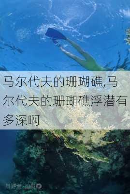 马尔代夫的珊瑚礁,马尔代夫的珊瑚礁浮潜有多深啊