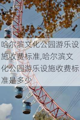 哈尔滨文化公园游乐设施收费标准,哈尔滨文化公园游乐设施收费标准是多少