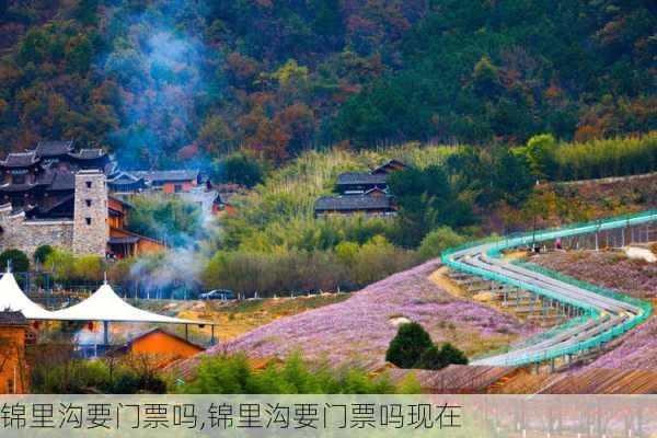 锦里沟要门票吗,锦里沟要门票吗现在