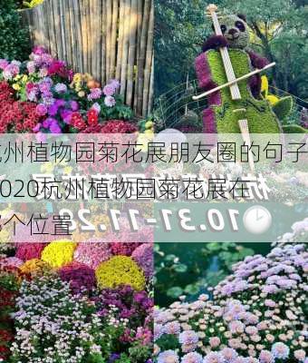 杭州植物园菊花展朋友圈的句子,2020杭州植物园菊花展在哪个位置