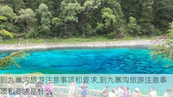 到九寨沟旅游注意事项和要求,到九寨沟旅游注意事项和要求是什么