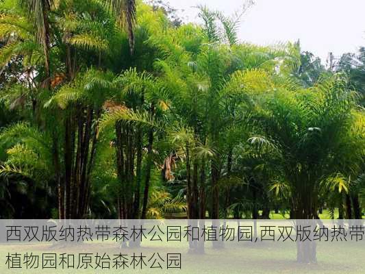 西双版纳热带森林公园和植物园,西双版纳热带植物园和原始森林公园