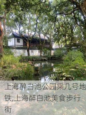 上海醉白池公园乘几号地铁,上海醉白池美食步行街