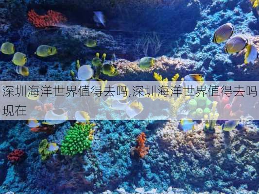 深圳海洋世界值得去吗,深圳海洋世界值得去吗现在