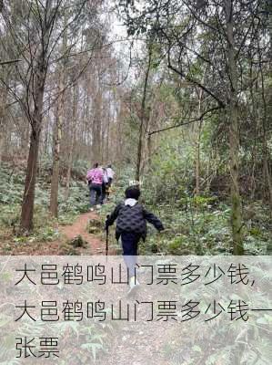 大邑鹤鸣山门票多少钱,大邑鹤鸣山门票多少钱一张票