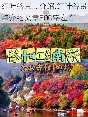 红叶谷景点介绍,红叶谷景点介绍文章500字左右