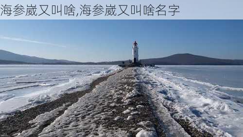 海参崴又叫啥,海参崴又叫啥名字