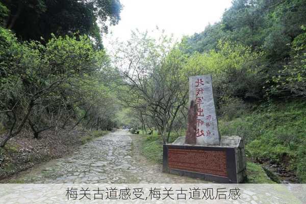 梅关古道感受,梅关古道观后感