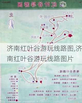 济南红叶谷游玩线路图,济南红叶谷游玩线路图片