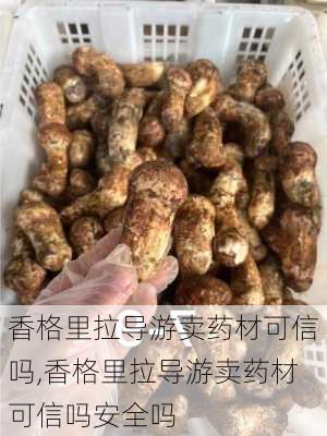 香格里拉导游卖药材可信吗,香格里拉导游卖药材可信吗安全吗