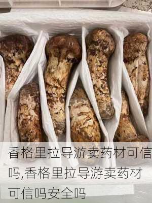 香格里拉导游卖药材可信吗,香格里拉导游卖药材可信吗安全吗