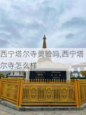 西宁塔尔寺灵验吗,西宁塔尔寺怎么样