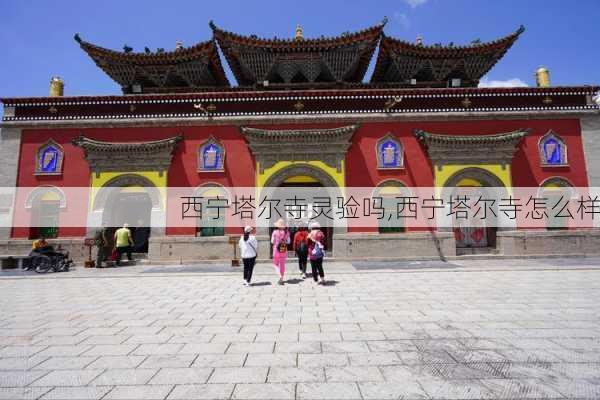 西宁塔尔寺灵验吗,西宁塔尔寺怎么样