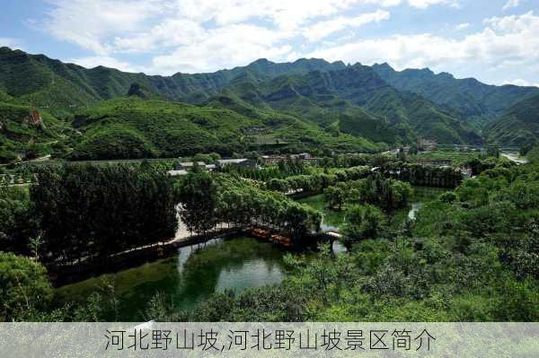 河北野山坡,河北野山坡景区简介