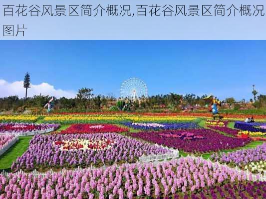 百花谷风景区简介概况,百花谷风景区简介概况图片