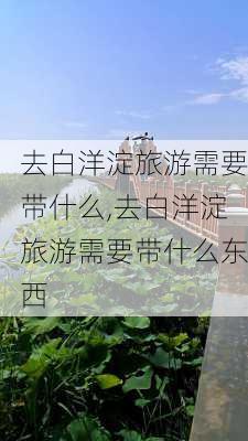 去白洋淀旅游需要带什么,去白洋淀旅游需要带什么东西