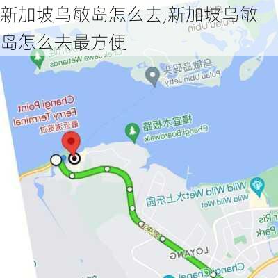 新加坡乌敏岛怎么去,新加坡乌敏岛怎么去最方便