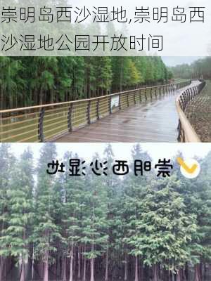 崇明岛西沙湿地,崇明岛西沙湿地公园开放时间