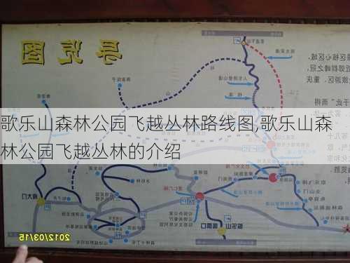 歌乐山森林公园飞越丛林路线图,歌乐山森林公园飞越丛林的介绍