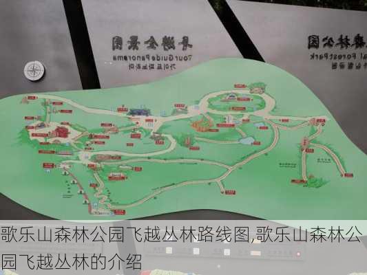 歌乐山森林公园飞越丛林路线图,歌乐山森林公园飞越丛林的介绍