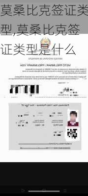 莫桑比克签证类型,莫桑比克签证类型是什么