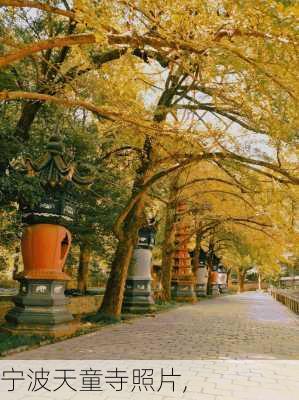 宁波天童寺照片,