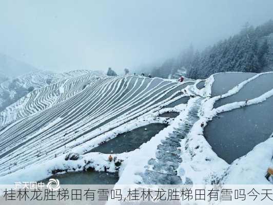 桂林龙胜梯田有雪吗,桂林龙胜梯田有雪吗今天