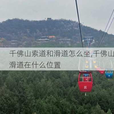 千佛山索道和滑道怎么坐,千佛山滑道在什么位置