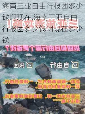 海南三亚自由行报团多少钱啊现在,海南三亚自由行报团多少钱啊现在多少钱