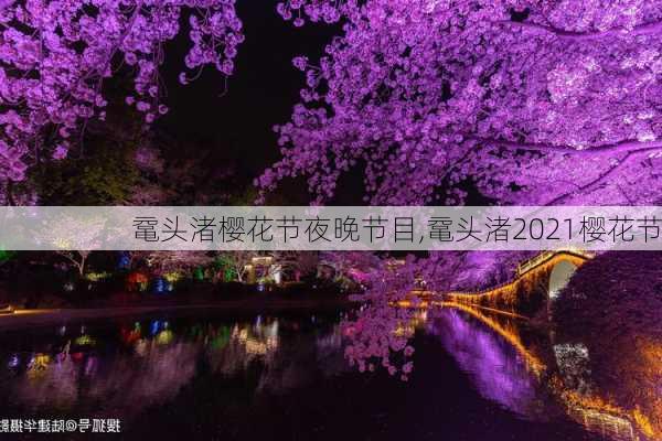 鼋头渚樱花节夜晚节目,鼋头渚2021樱花节