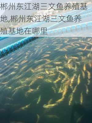 郴州东江湖三文鱼养殖基地,郴州东江湖三文鱼养殖基地在哪里