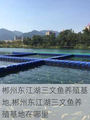 郴州东江湖三文鱼养殖基地,郴州东江湖三文鱼养殖基地在哪里