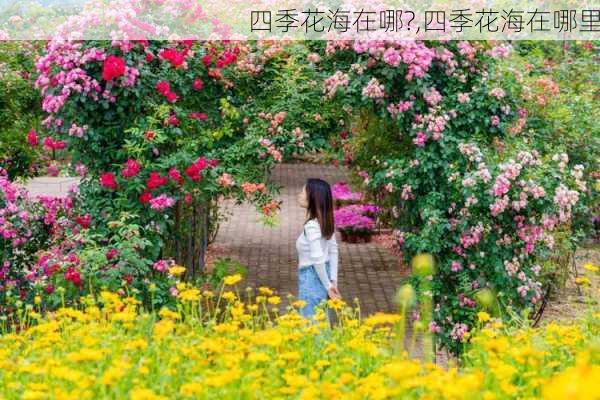 四季花海在哪?,四季花海在哪里